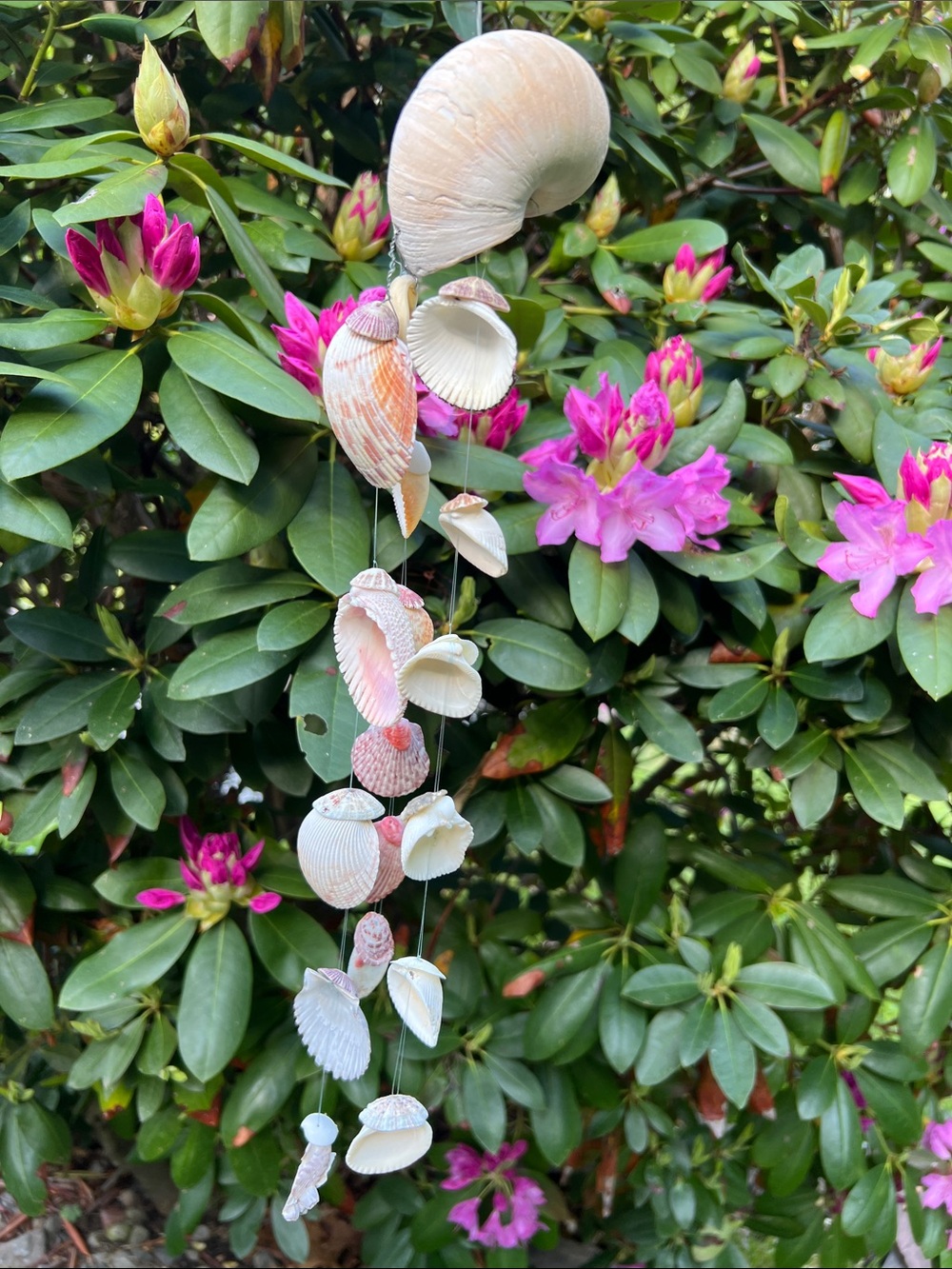 Handmade Seashell Wind Chime - Natural Shells